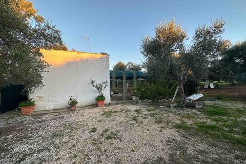 Ruinere i Ostuni, Brindisi, Ostuni - € 79.000 | Ref: Lamia Degli Uli - foto 7